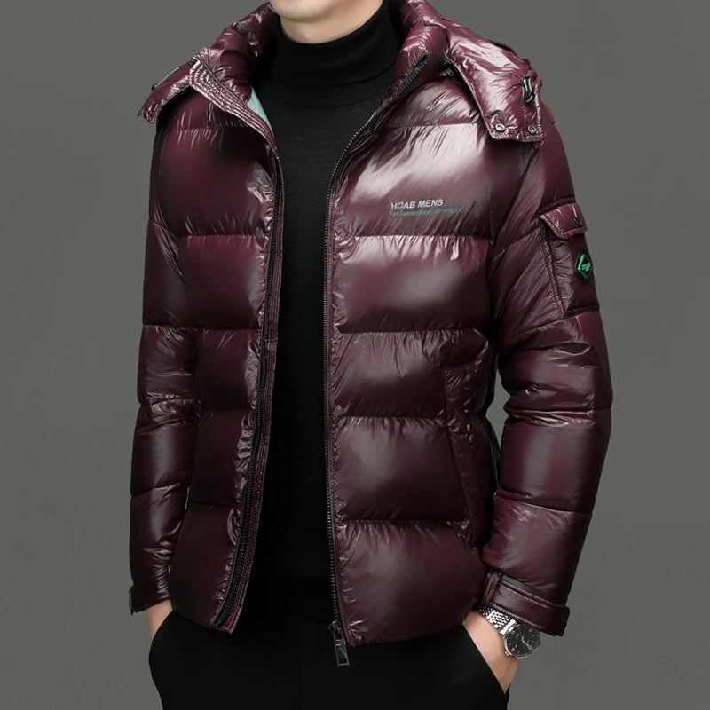 Sleek Men's Down Jacket | Long Sleeve, Stylish Design, Casual Wear