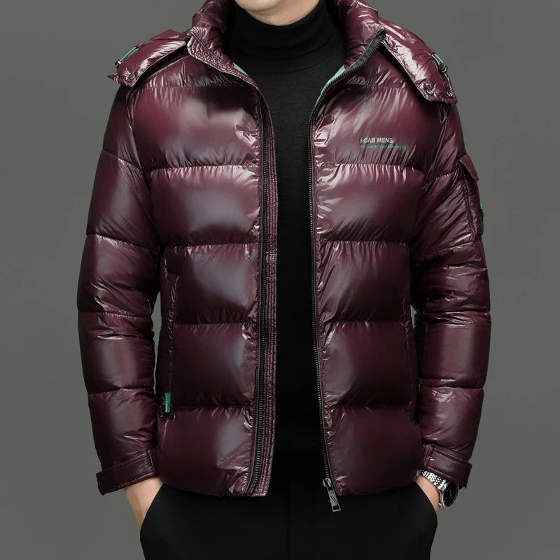 Sleek Men's Down Jacket | Long Sleeve, Stylish Design, Casual Wear