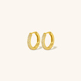 Irelina Hoop Earrings