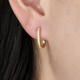 Naiya Oval Hoop Earrings